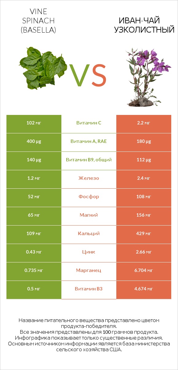 Базелла белая vs Иван-чай узколистный infographic