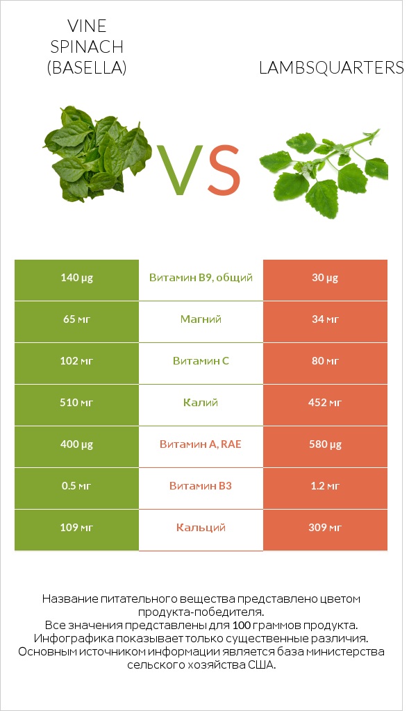 Vine spinach (basella) vs Lambsquarters infographic