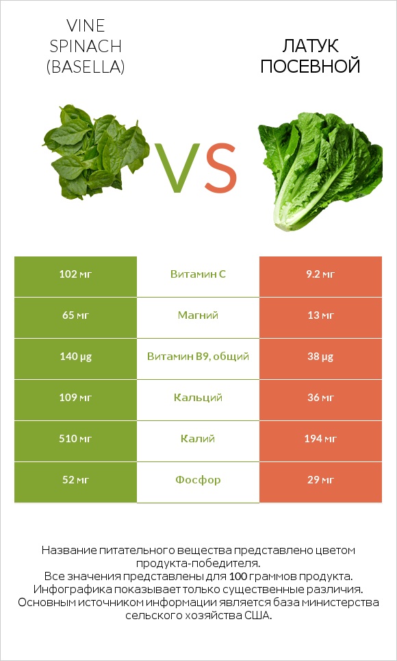 Базелла белая vs Латук посевной infographic