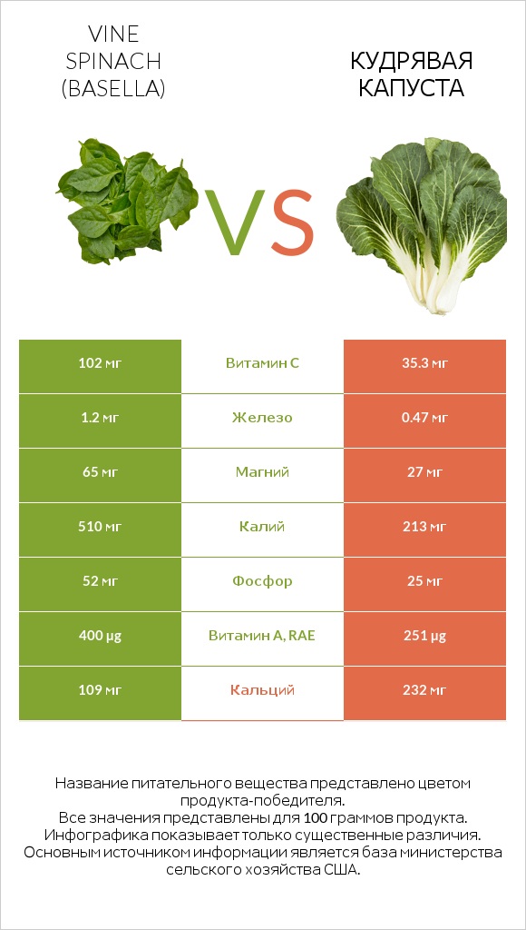 Базелла белая vs Кудрявая капуста infographic