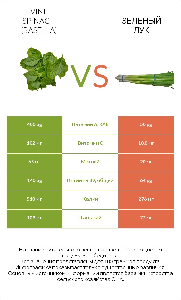 Базелла белая vs Зеленый лук infographic