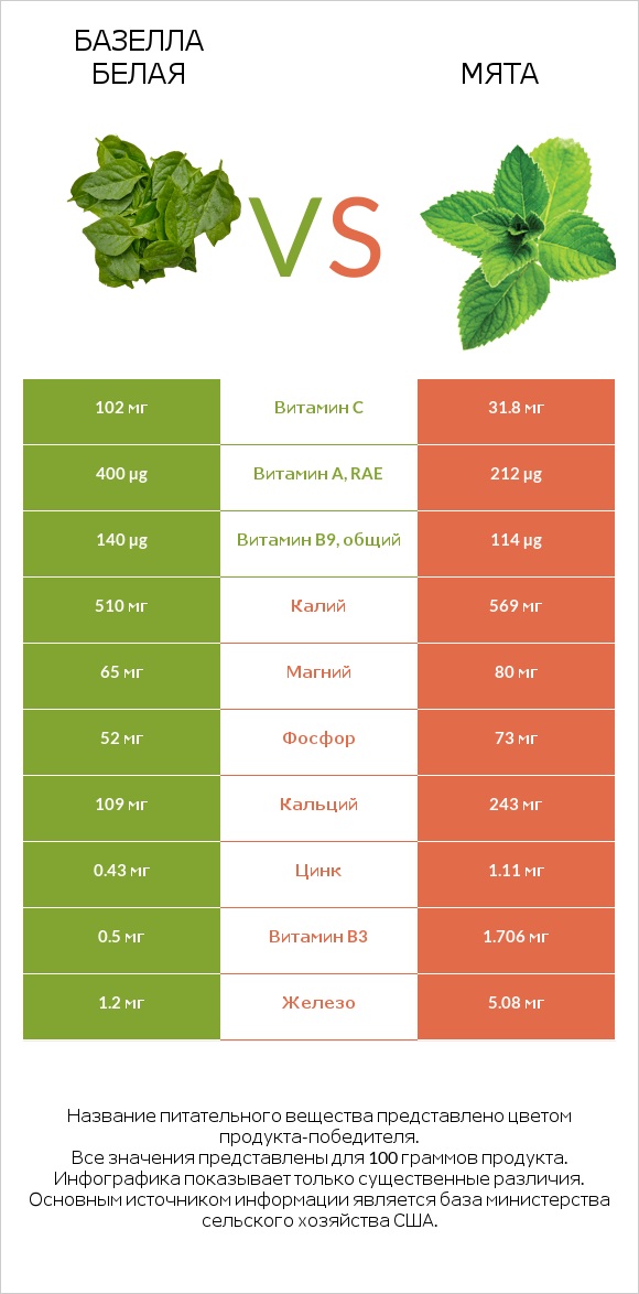 Базелла белая vs Мята infographic