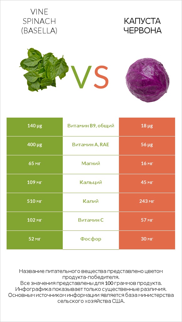Vine spinach (basella) vs Капуста червона infographic