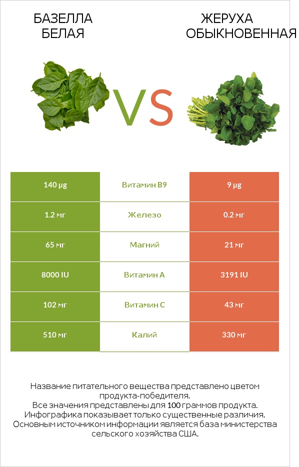 Базелла белая vs Жеруха обыкновенная infographic