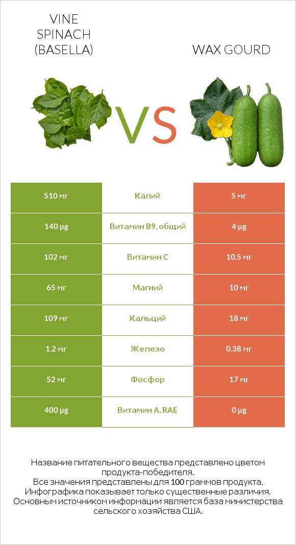 Vine spinach (basella) vs Wax gourd infographic