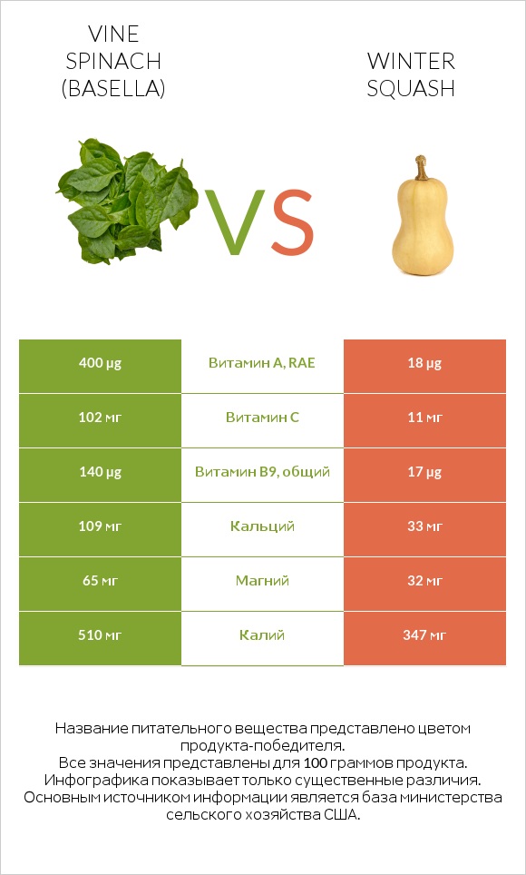 Vine spinach (basella) vs Winter squash infographic