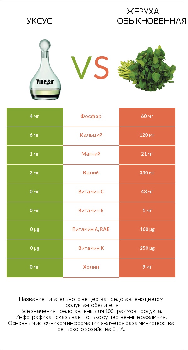 Уксус vs Жеруха обыкновенная infographic