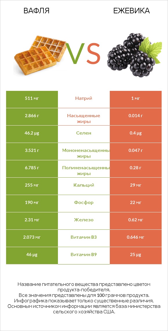 Вафля vs Ежевика infographic