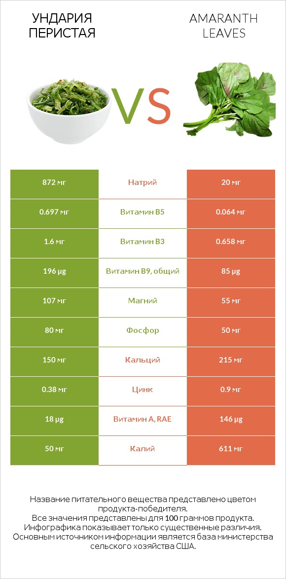 Ундария перистая vs Amaranth leaves infographic