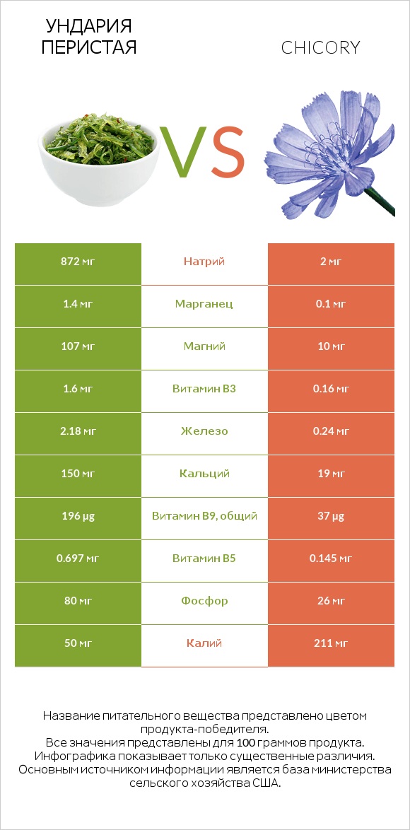 Ундария перистая vs Chicory infographic
