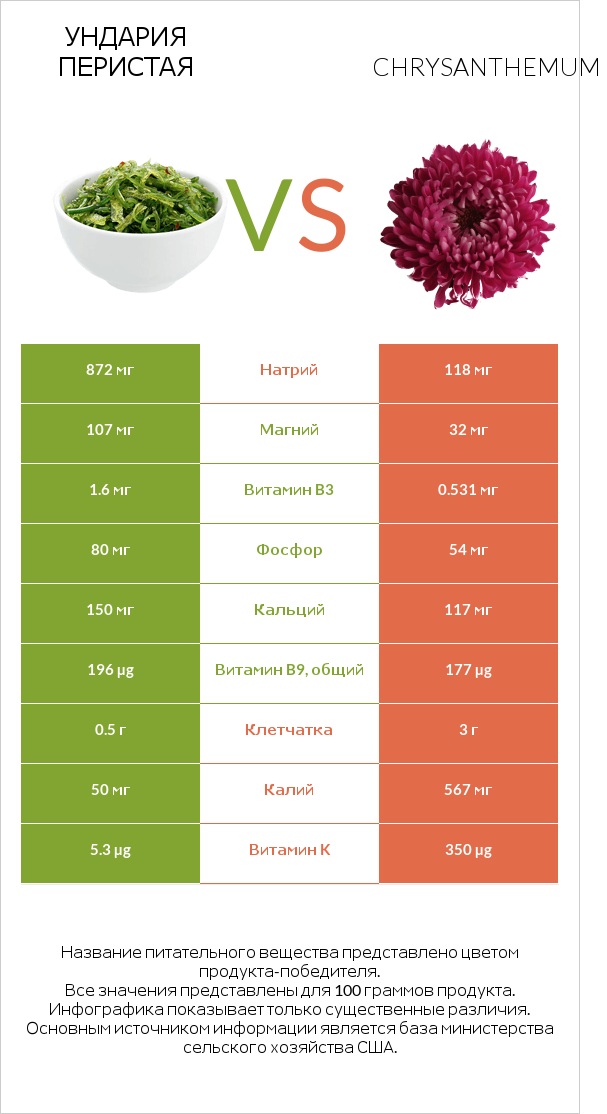 Ундария перистая vs Chrysanthemum infographic