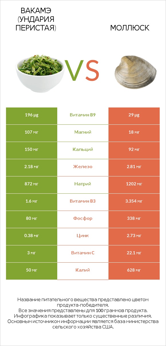 Вакамэ (ундария перистая) vs Моллюск infographic