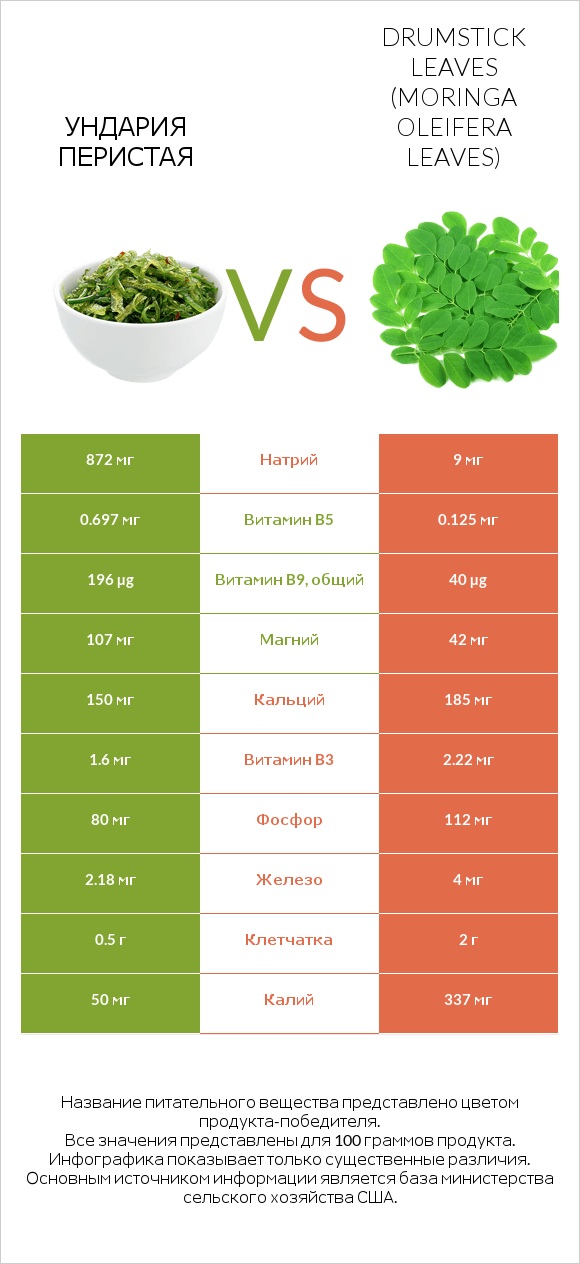 Ундария перистая vs Drumstick leaves infographic