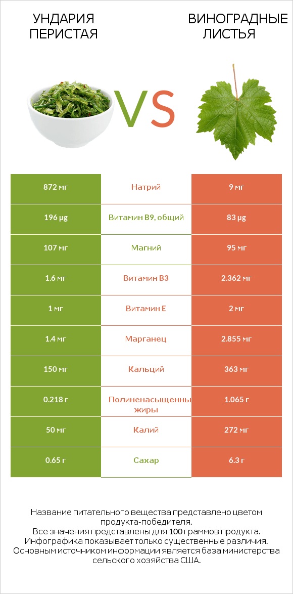Ундария перистая vs Виноградные листья infographic