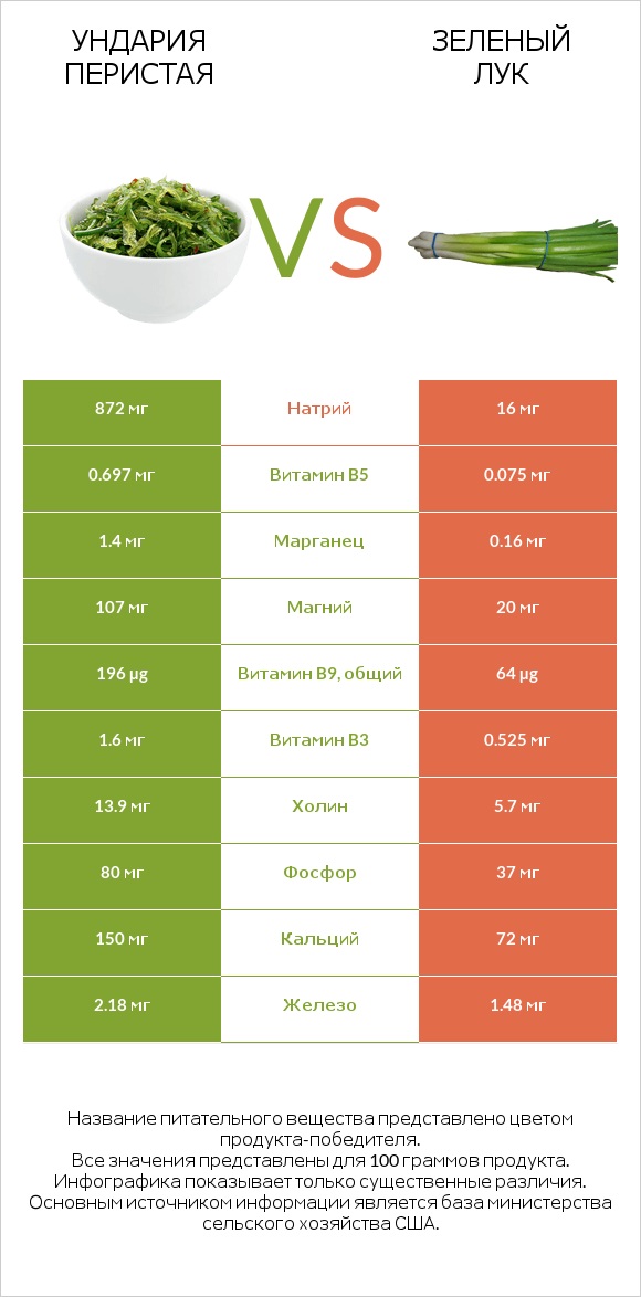 Ундария перистая vs Зеленый лук infographic