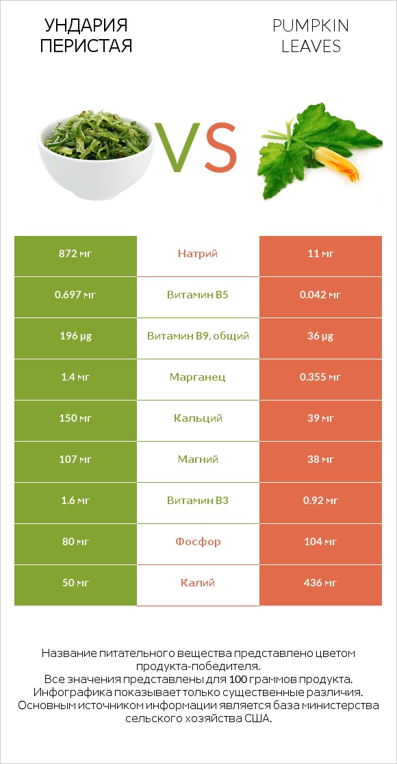 Ундария перистая vs Pumpkin leaves infographic