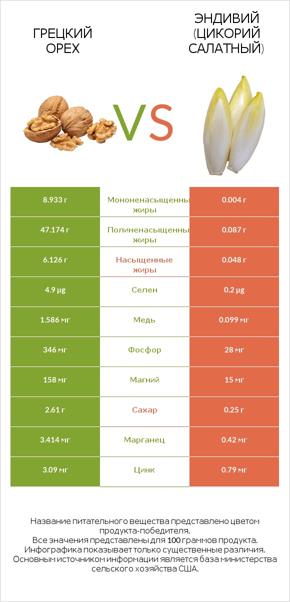 Грецкий орех vs Эндивий (Цикорий салатный)  infographic