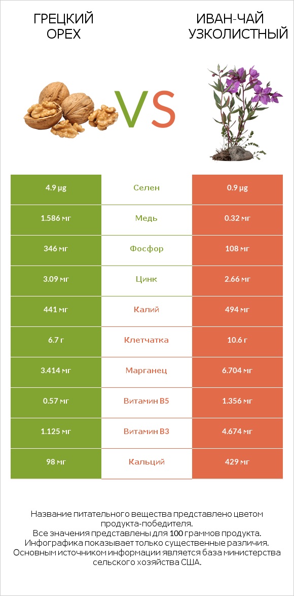 Грецкий орех vs Иван-чай узколистный infographic