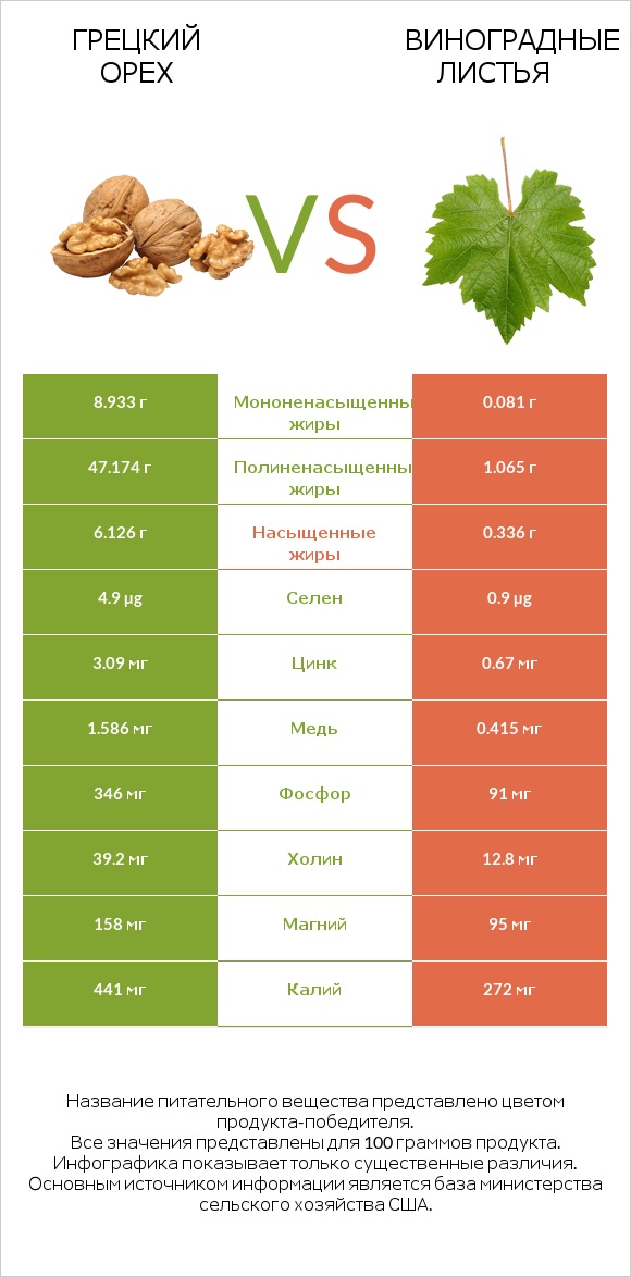 Грецкий орех vs Виноградные листья infographic