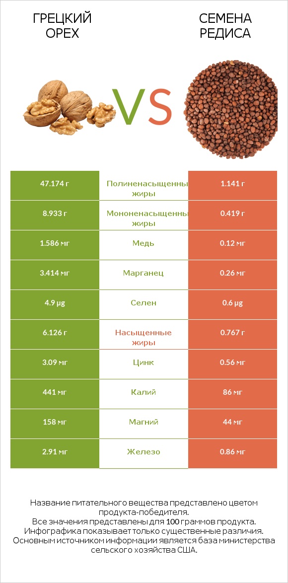 Грецкий орех vs Семена редиса infographic