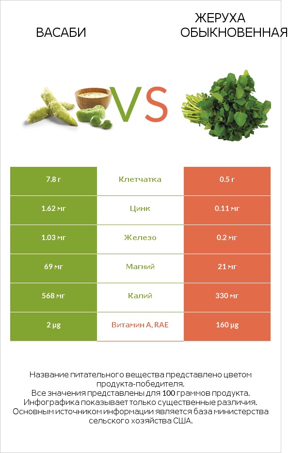 Васаби vs Жеруха обыкновенная infographic