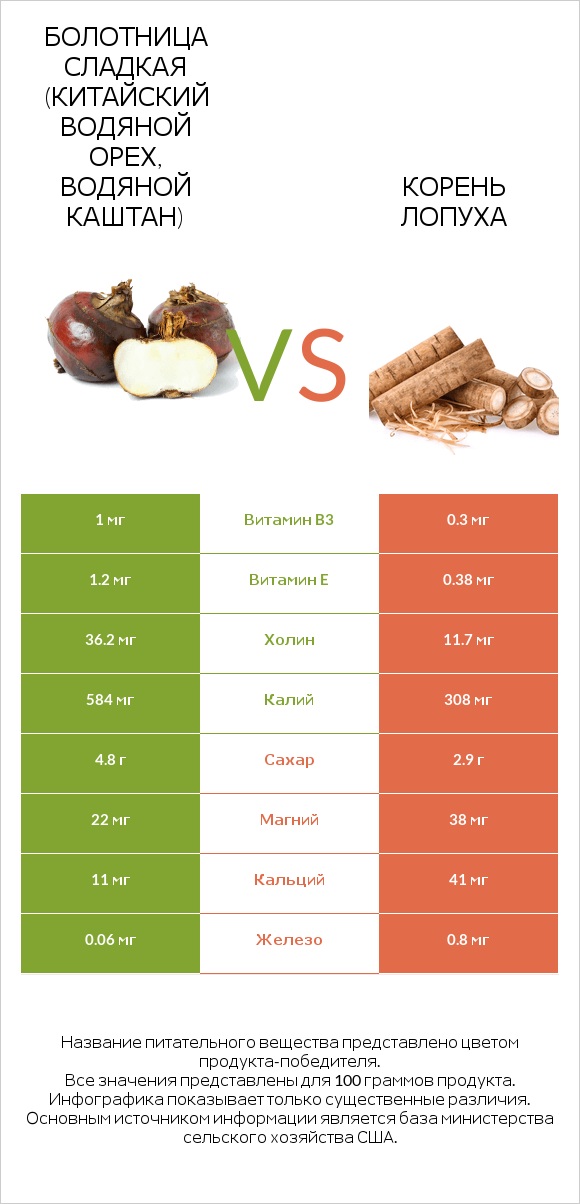 Болотница сладкая (Китайский водяной орех, водяной каштан) vs Корень лопуха infographic