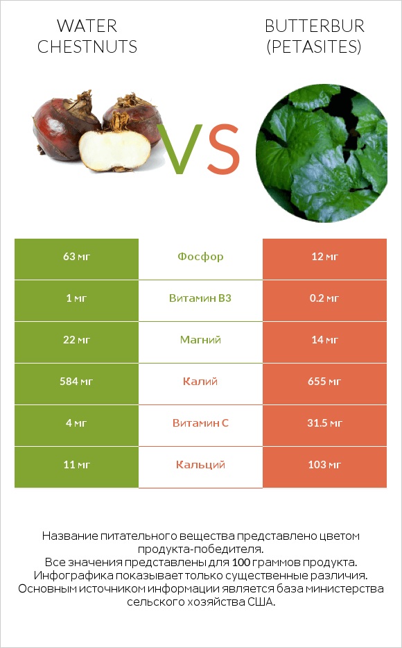 Water chestnuts vs Butterbur infographic