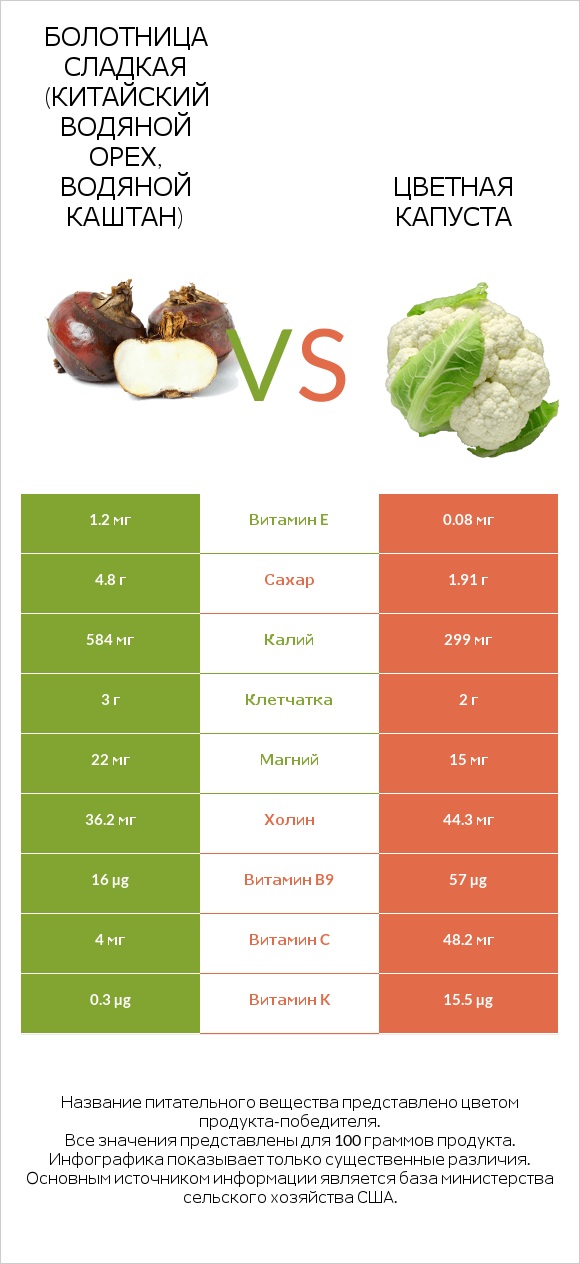 Болотница сладкая (Китайский водяной орех, водяной каштан) vs Цветная капуста infographic