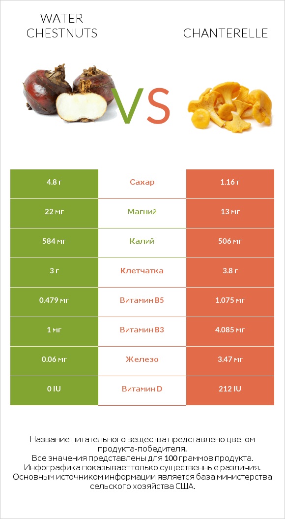 Water chestnuts vs Chanterelle infographic