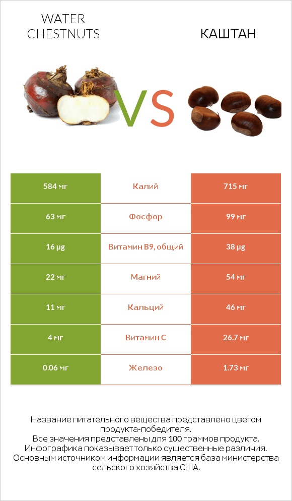 Water chestnuts vs Каштан infographic