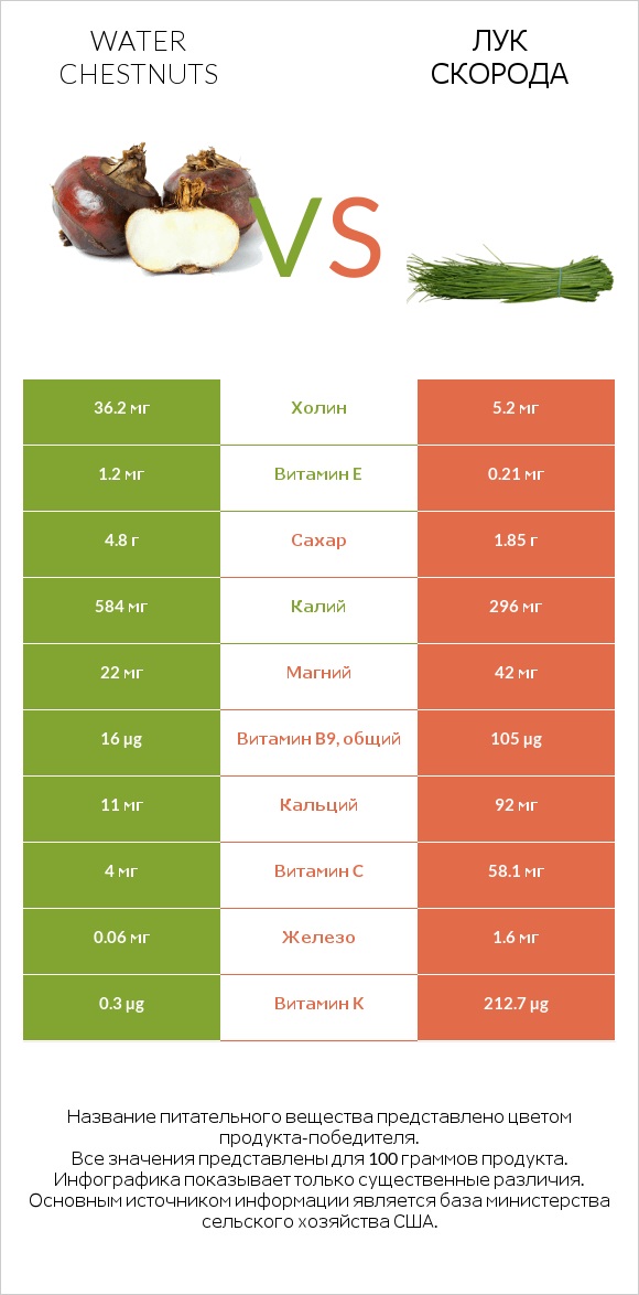 Water chestnuts vs Лук скорода infographic