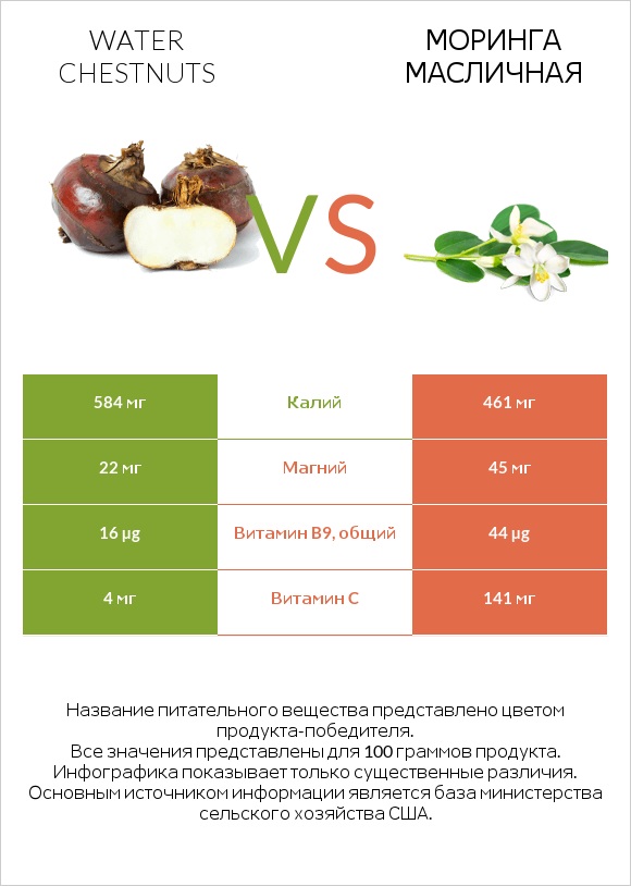 Water chestnuts vs Моринга масличная infographic