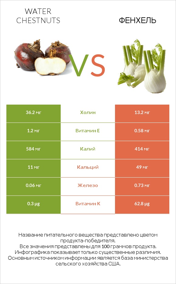 Water chestnuts vs Фенхель infographic