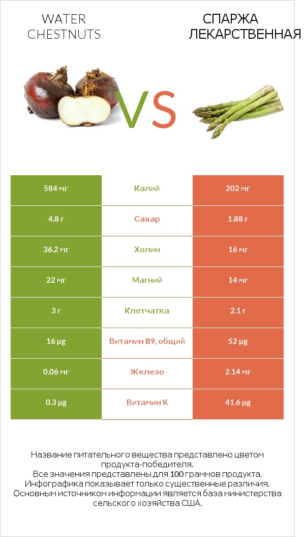 Water chestnuts vs Спаржа лекарственная infographic