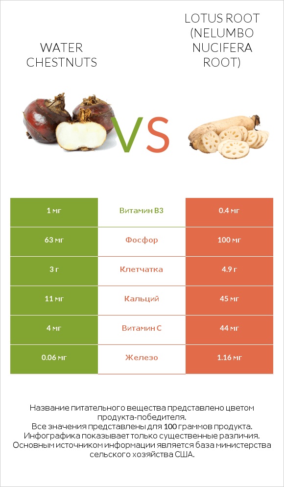 Water chestnuts vs Lotus root infographic