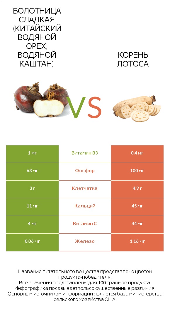 Болотница сладкая (Китайский водяной орех, водяной каштан) vs Корень лотоса infographic