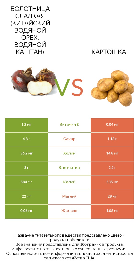 Болотница сладкая (Китайский водяной орех, водяной каштан) vs Картошка infographic