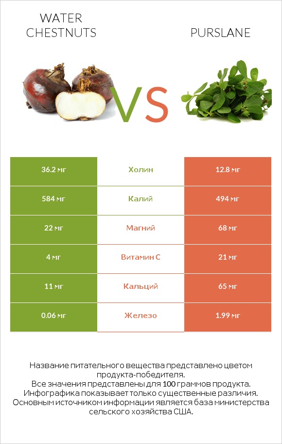 Water chestnuts vs Purslane infographic