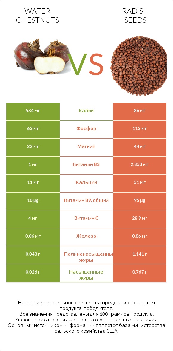 Water chestnuts vs Radish seeds infographic