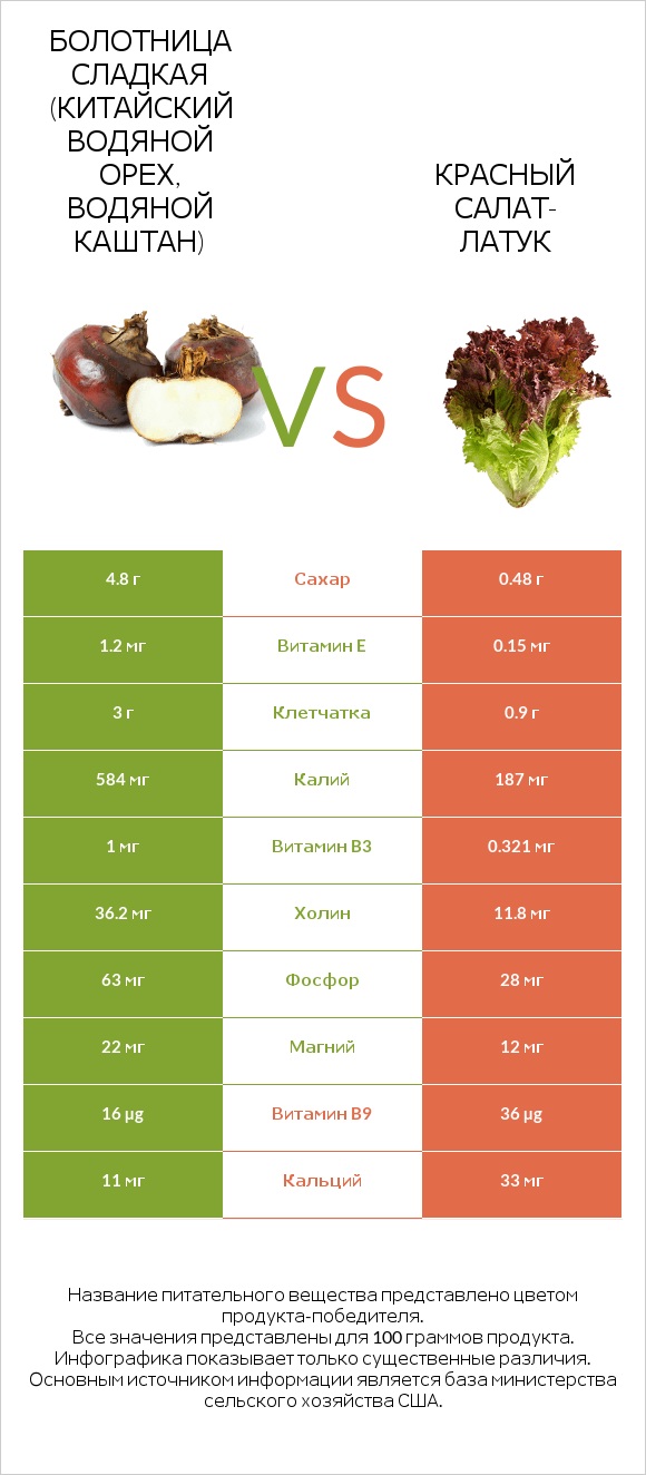 Water chestnuts vs Red leaf lettuce infographic