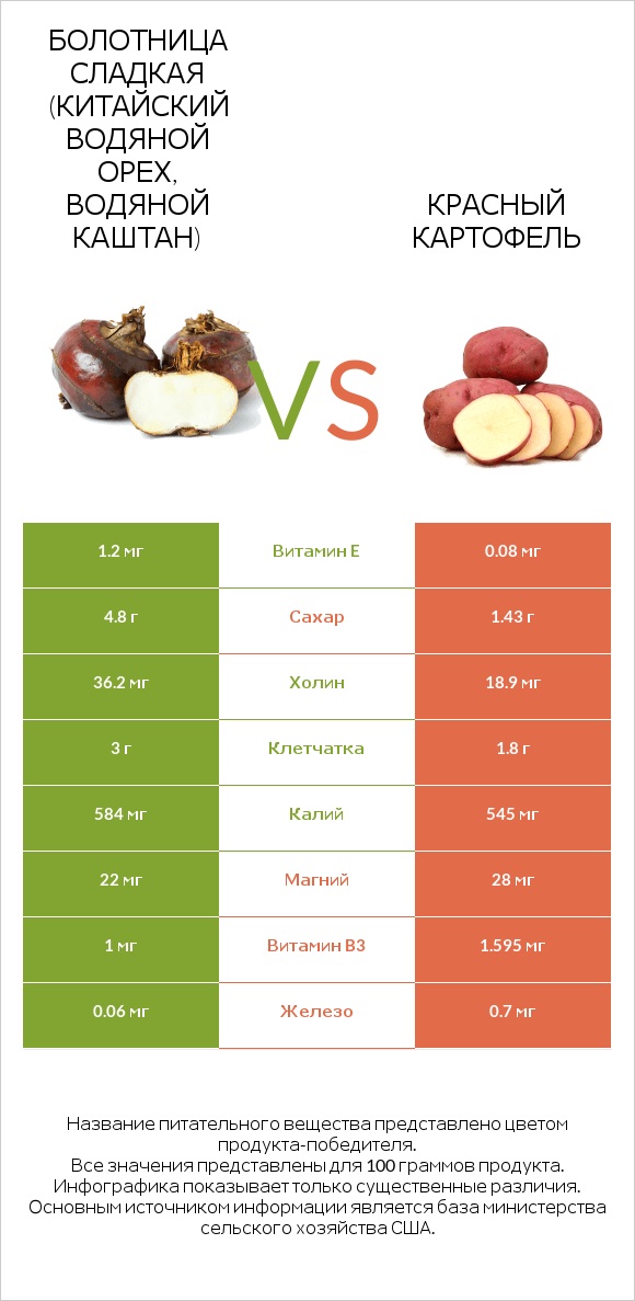 Болотница сладкая (Китайский водяной орех, водяной каштан) vs Красный картофель infographic