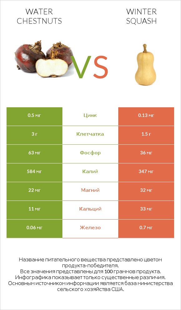 Water chestnuts vs Winter squash infographic