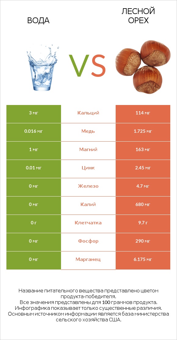 Вода vs Лесной орех infographic