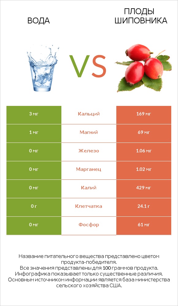 Вода vs Плоды шиповника infographic