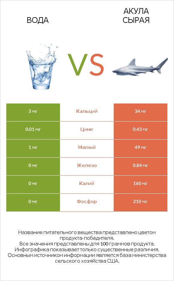 Вода vs Акула сырая infographic