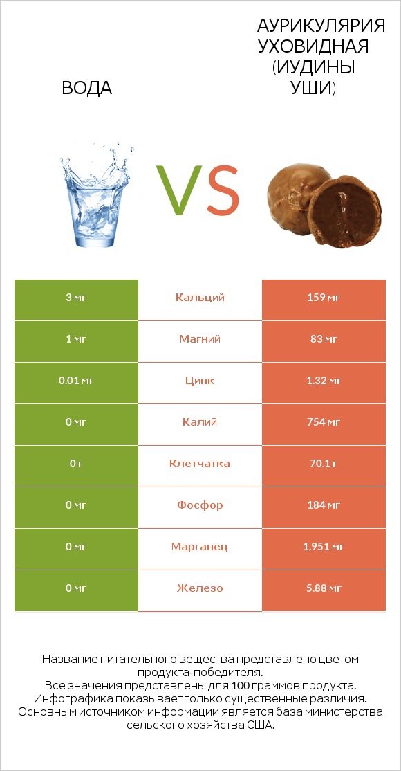 Вода vs Аурикулярия уховидная (Иудины уши) infographic