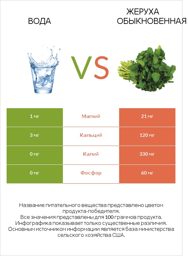 Вода vs Жеруха обыкновенная infographic