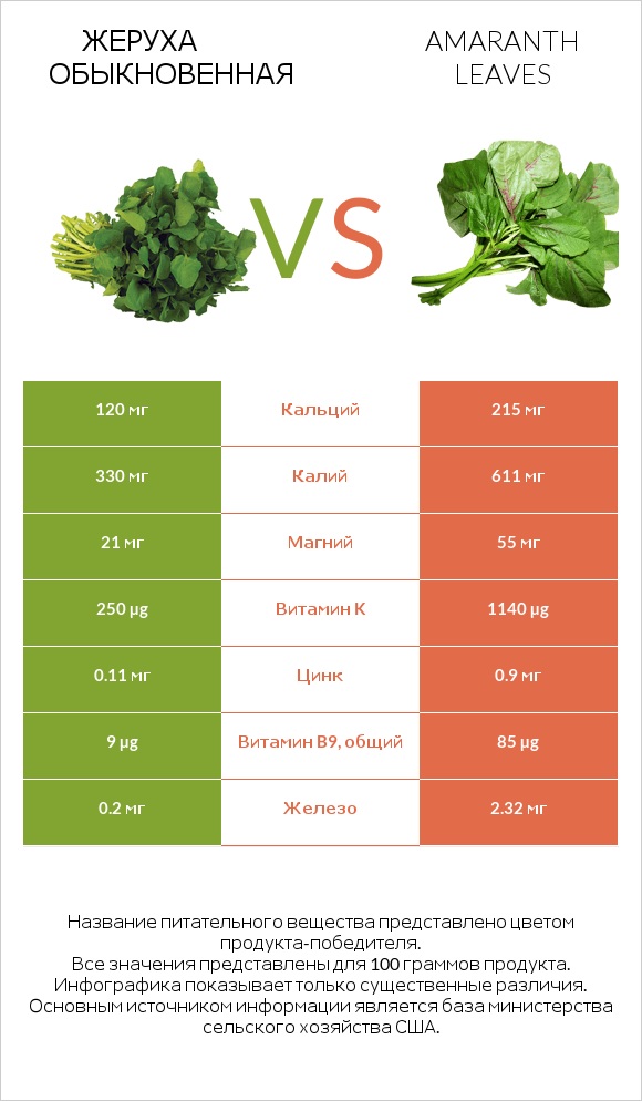 Жеруха обыкновенная vs Листья амаранта infographic