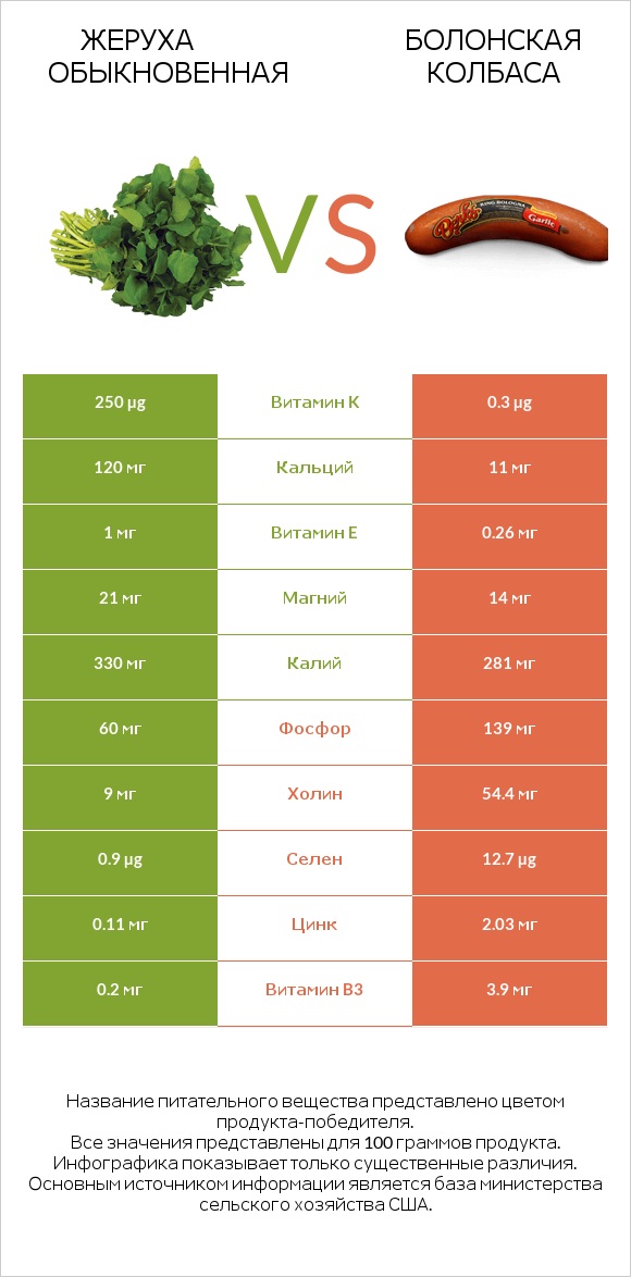 Жеруха обыкновенная vs Болонская колбаса infographic