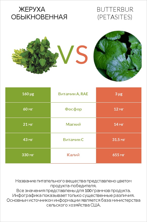 Жеруха обыкновенная vs Белокопытник infographic